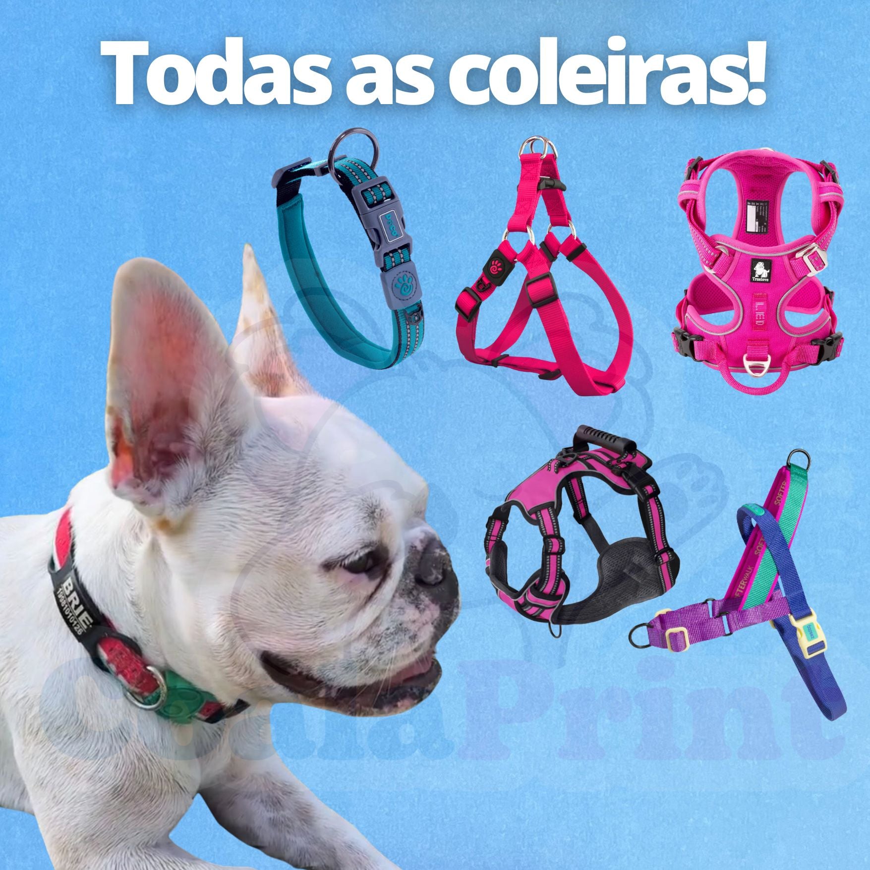 TagPets Personalizada CoalaPrint